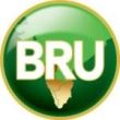 Bru